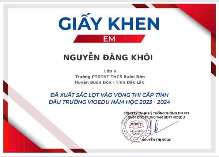 Thành tích VioEdu